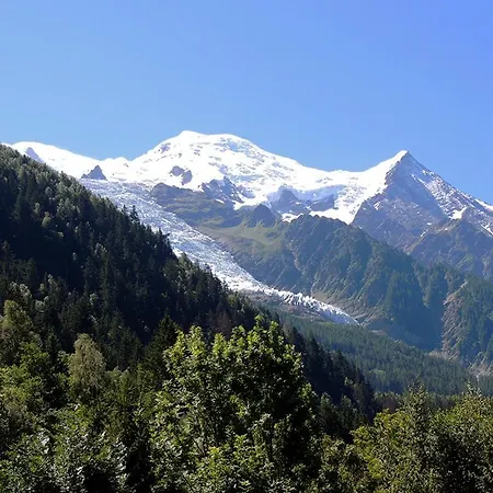 Apartment Chalet Les Arolles Chamonix *